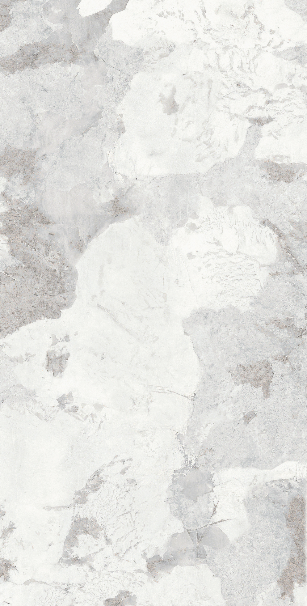 TPACM26-1506